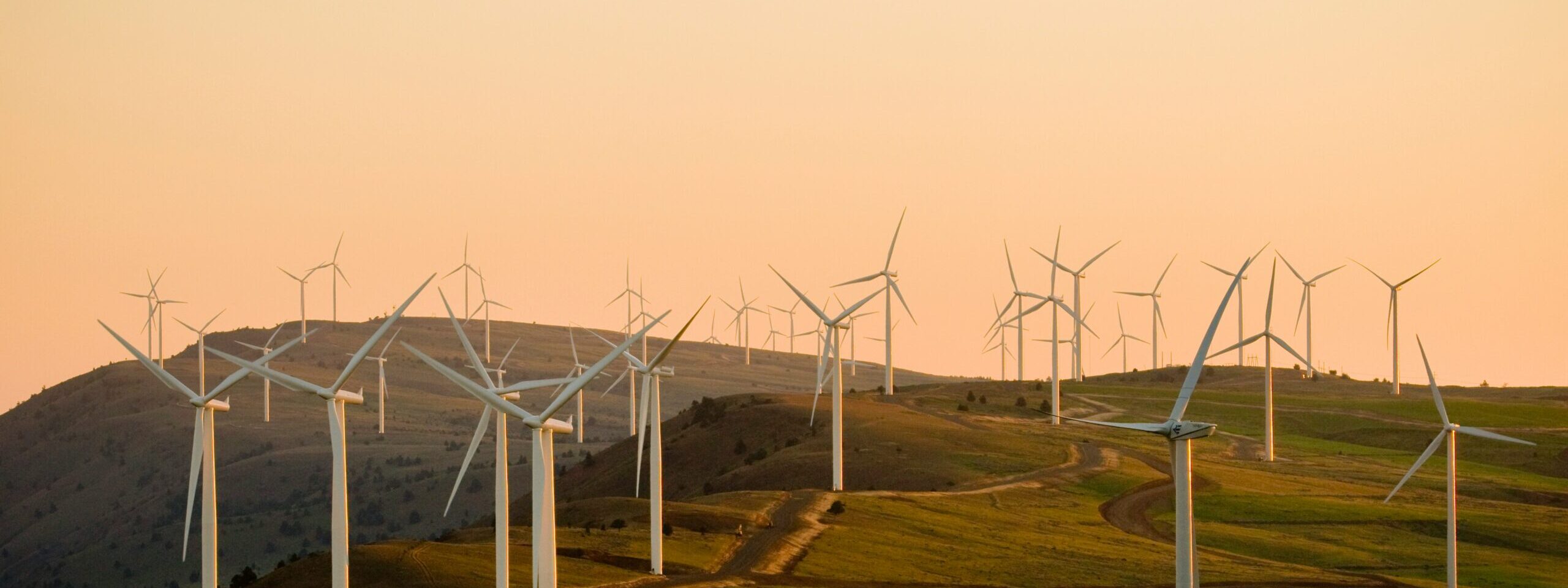 Top 5 principales desarrolladores de energía eólica en España